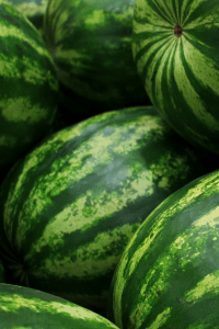 Crimson Sweet Watermelon