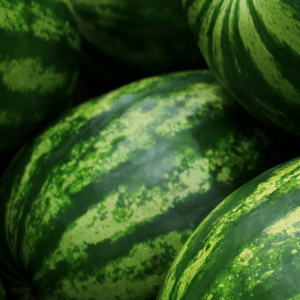 Crimson Sweet Watermelon
