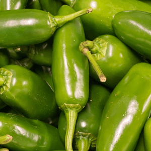 Jalapeño Peppers
