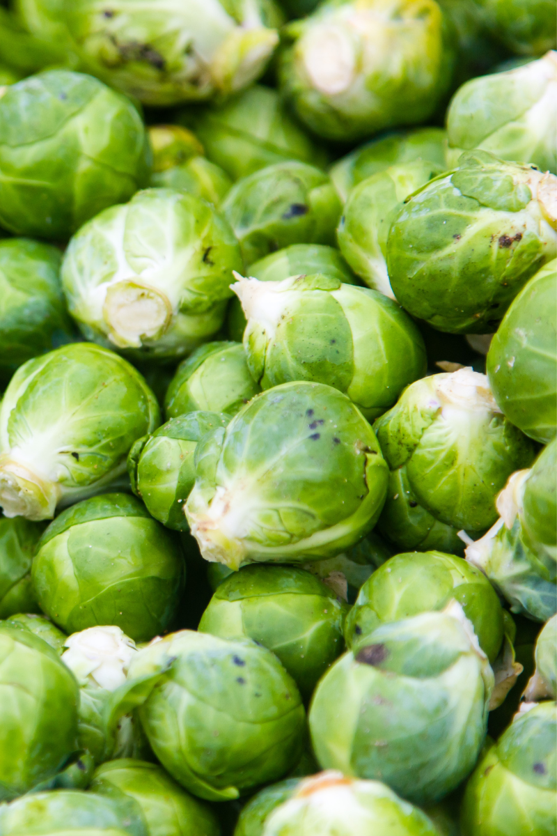 Long Island Brussels Sprouts
