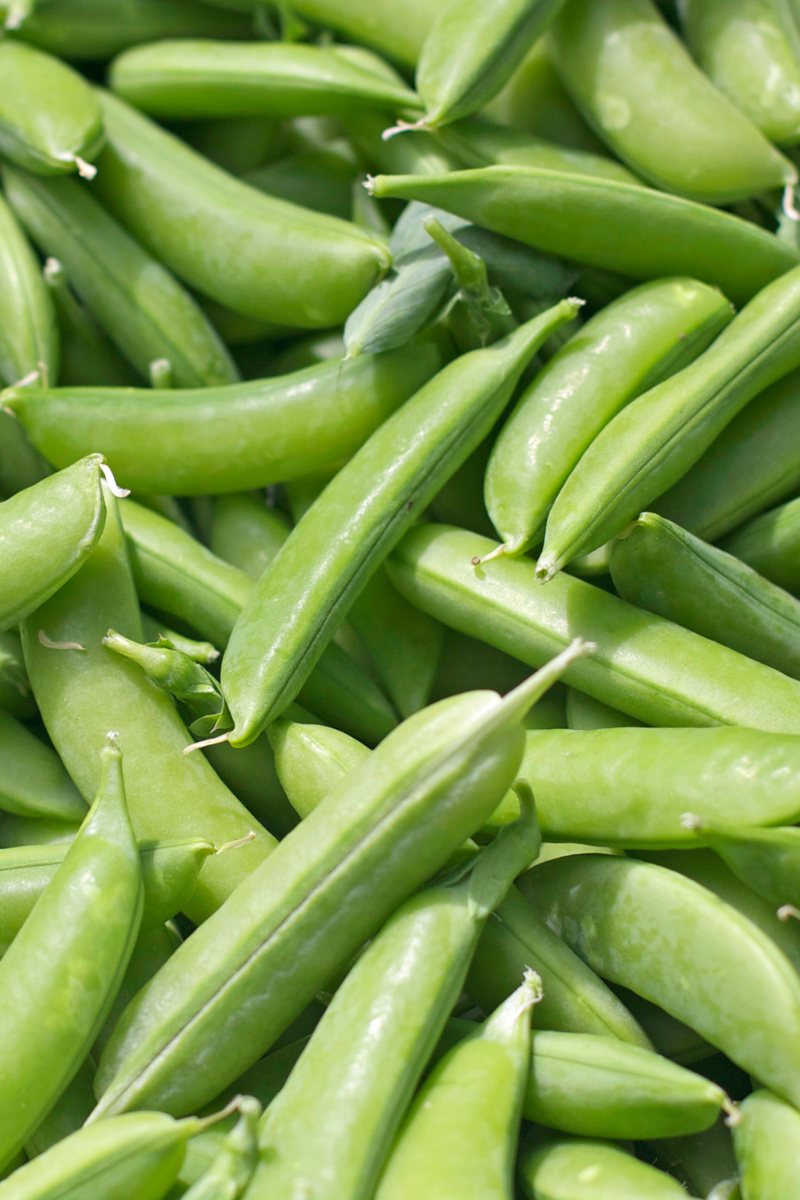 Sugar Lace Snap Peas