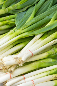 White Bunching Onion