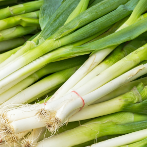 White Bunching Onion