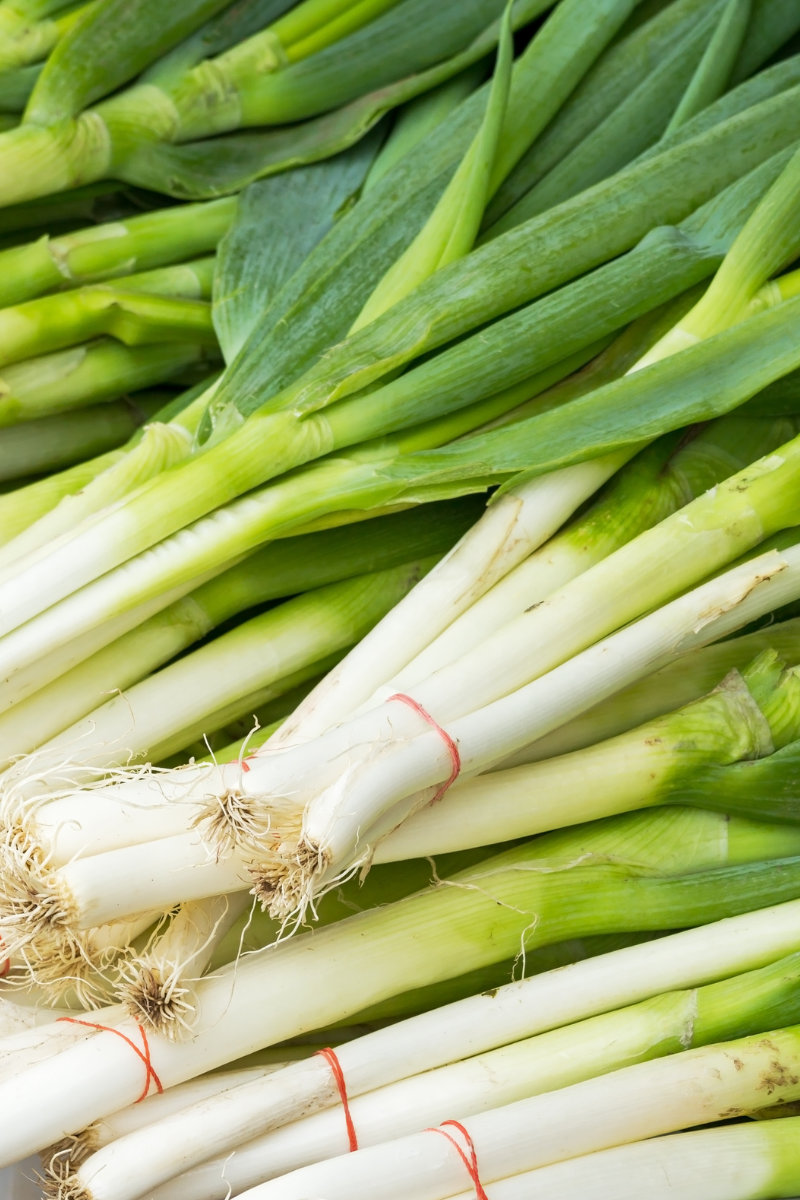 White Bunching Onion