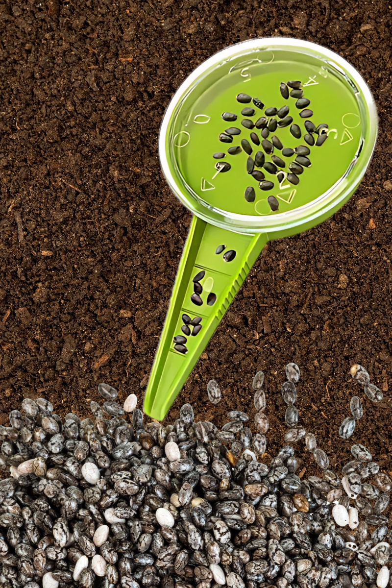 Seed Dispenser