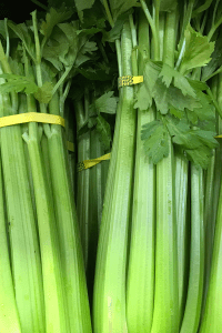 Utah Celery