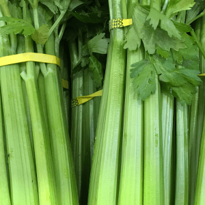 Utah Celery
