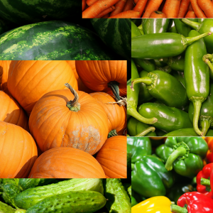 Heirloom Seed Starter Pack